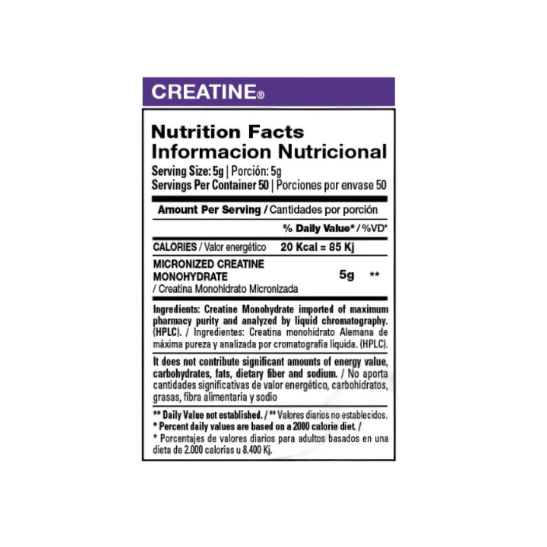 Creatina Monohidrato Micronizada Pote 250 grs XTRENGHT 2 Creatina Monohidrato Micronizada Pote 250 grs XTRENGHT - Image 2