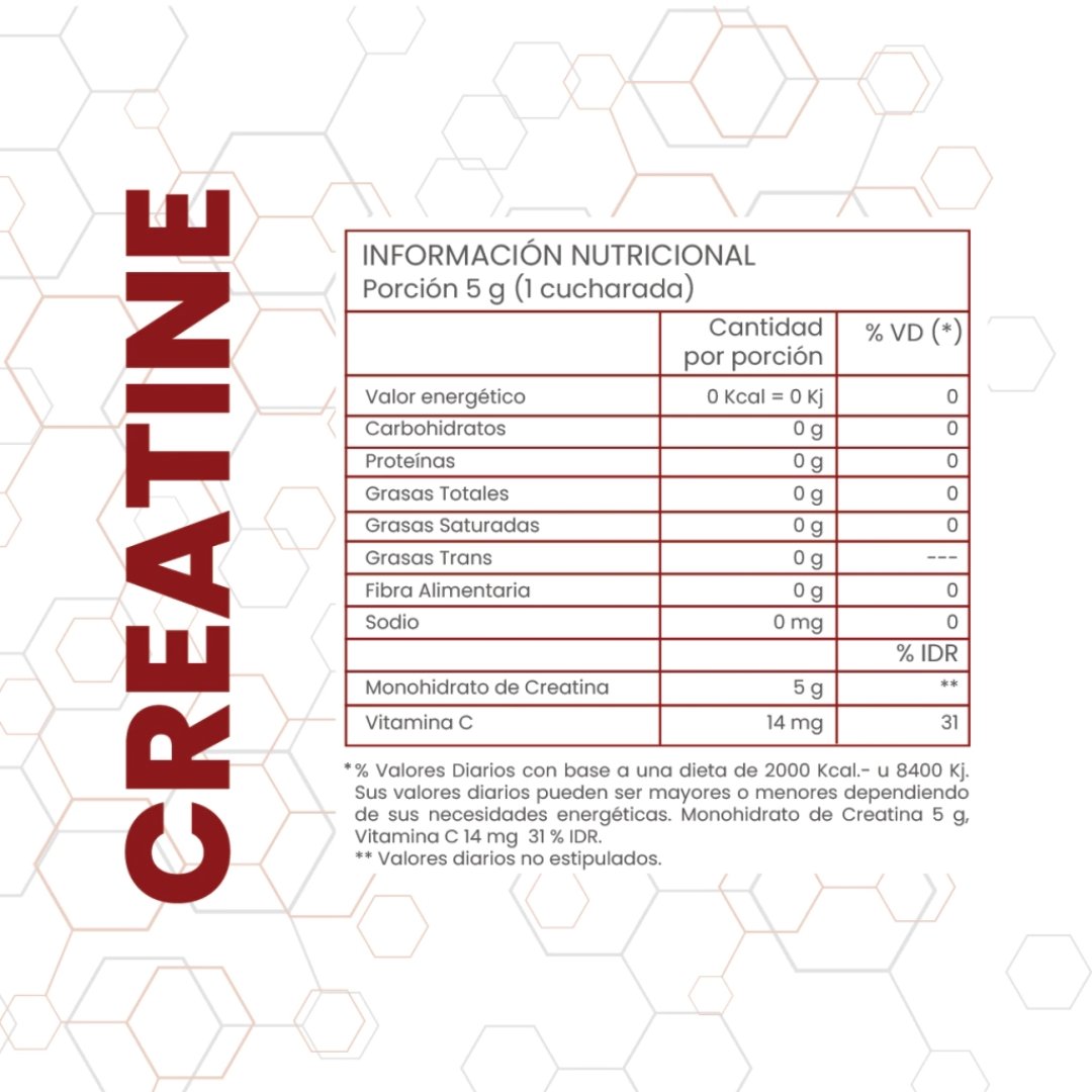Creatina Monohidrato Micronizada Pote 200 grs One Fit 2 Creatina Monohidrato Micronizada Pote 200 grs One Fit - Image 2